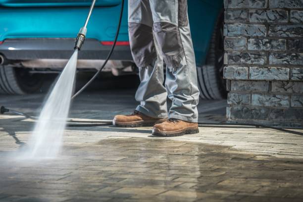 Best Warehouse Cleaning  in Wabasha, MN