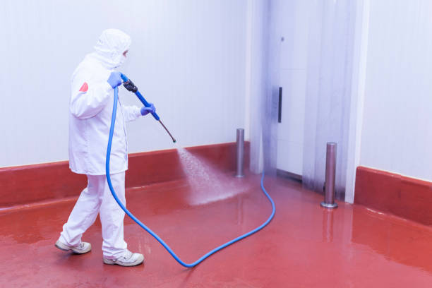Best Concrete Sealing  in Wabasha, MN