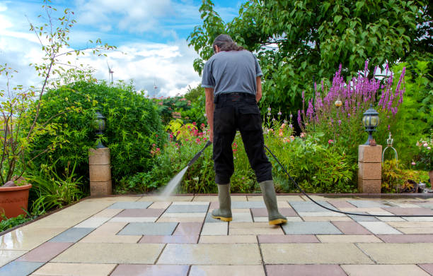 Best Post-Construction Pressure Washing  in Wabasha, MN